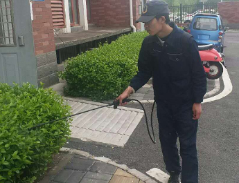 绿化除虫服务项目