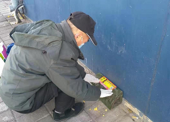 公共环境灭鼠服务项目