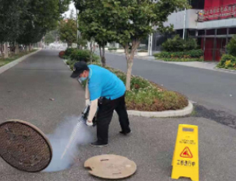 公共环境消杀消毒服务项目